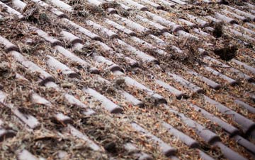 Kearney roof cleaning companies