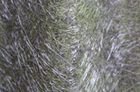 Kearney fibreglass roof work